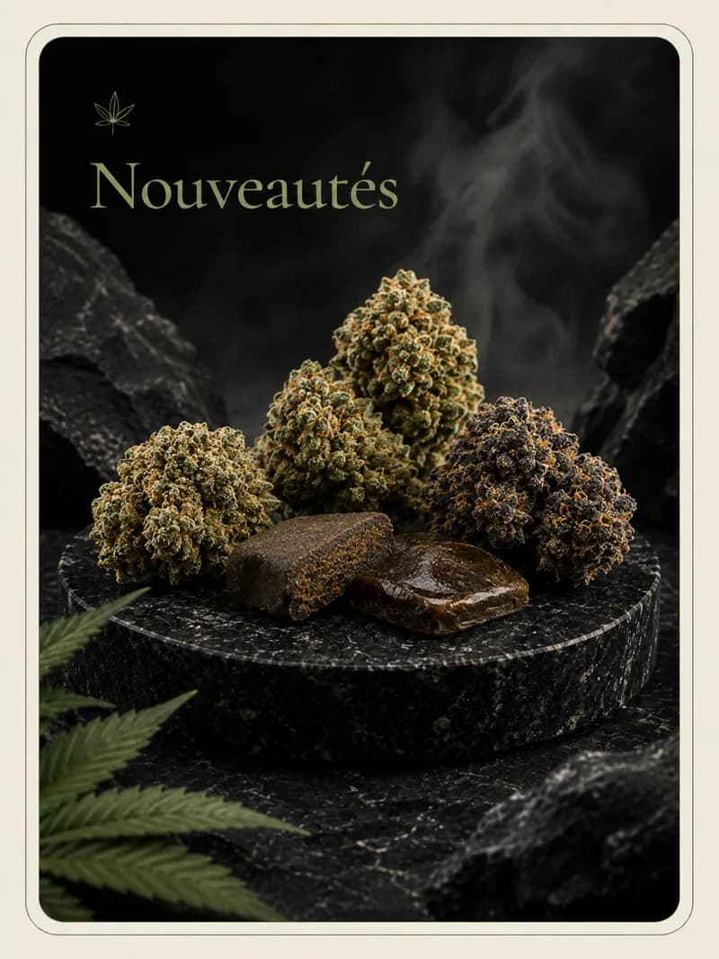 Les dernières entrées au catalogue MB Botanica